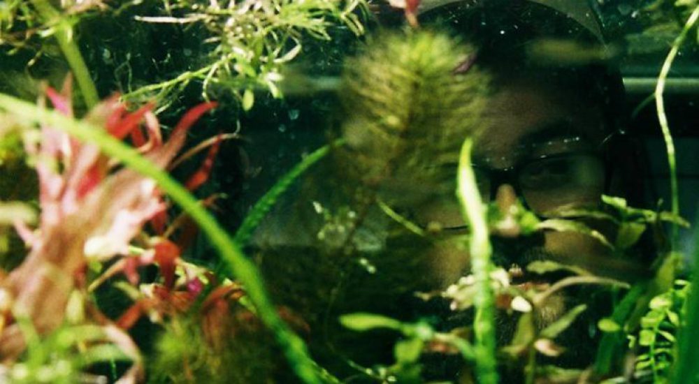 17759924_1851226975144634_2313040761226099140_n