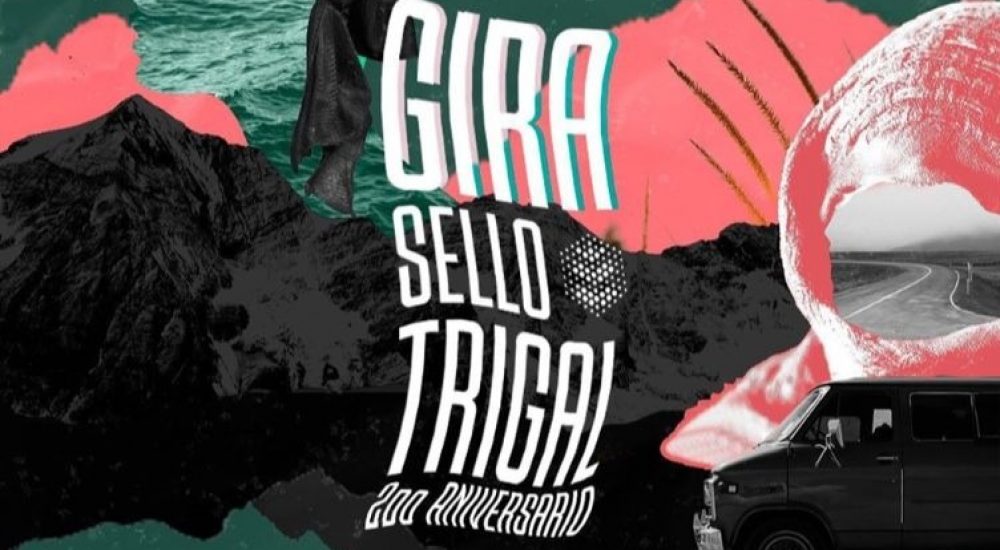 62264679_2409971442386192_1443261688953438208_n