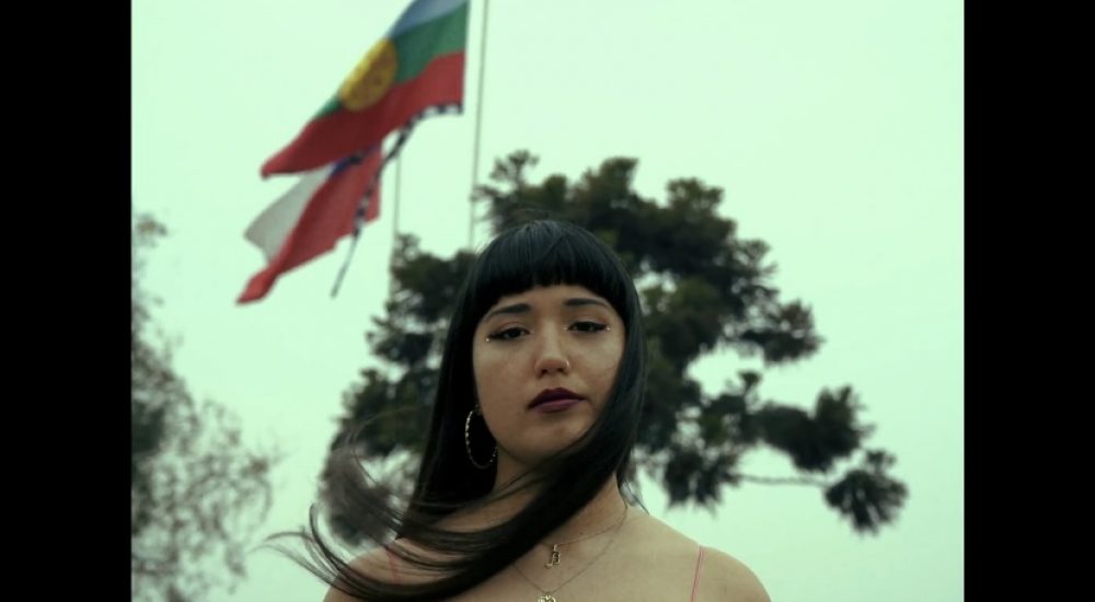 Barbarai-Banderas