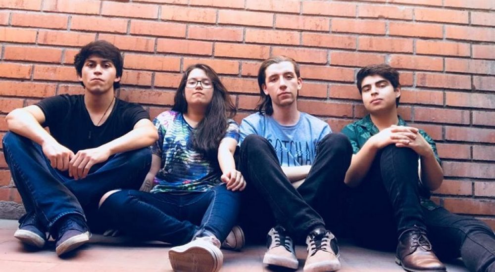 CICLO VIOLETA QUIEN LOS CONOCE