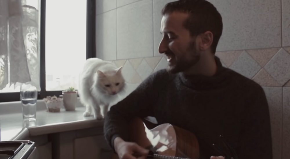 DIEGO LORENZINI MUSIQUITA EN LA COCINA