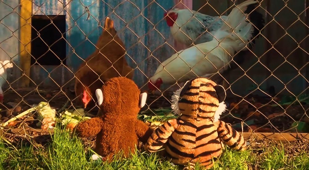 Dinosauria Estereotipos Videoclip