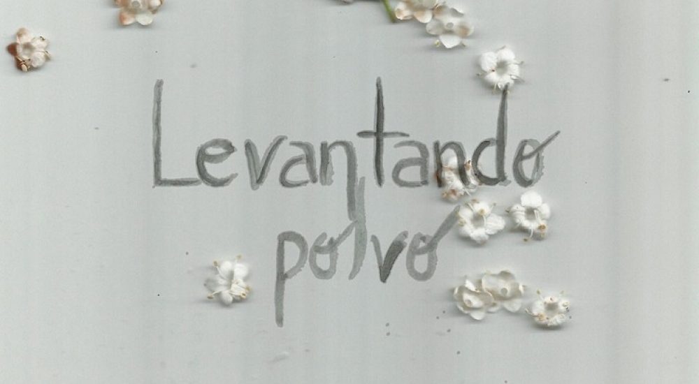 Levantando Polvo