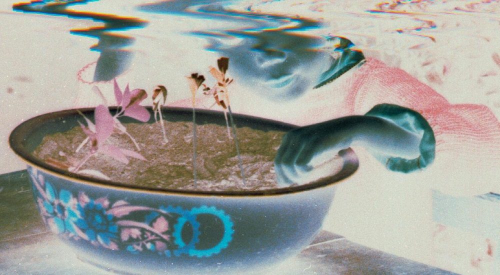 Los Valentina Dependencia Estreno