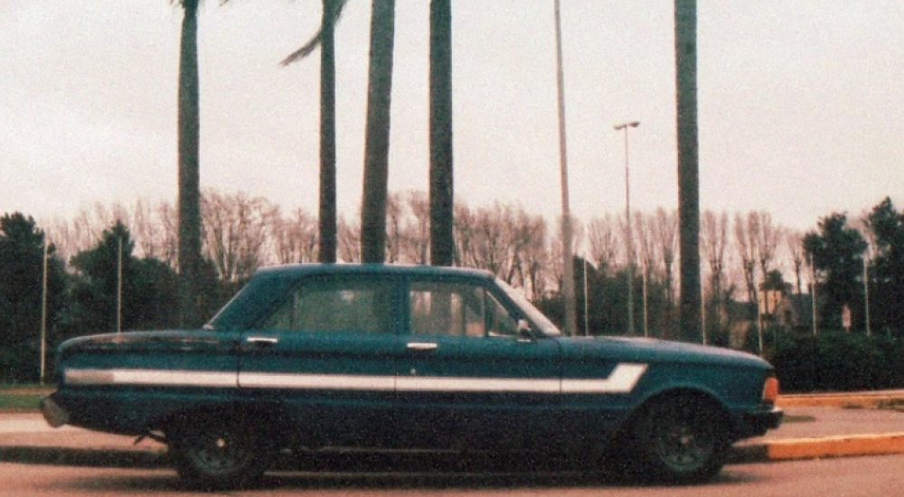 PALMERA LITORAL COMPILADO 1