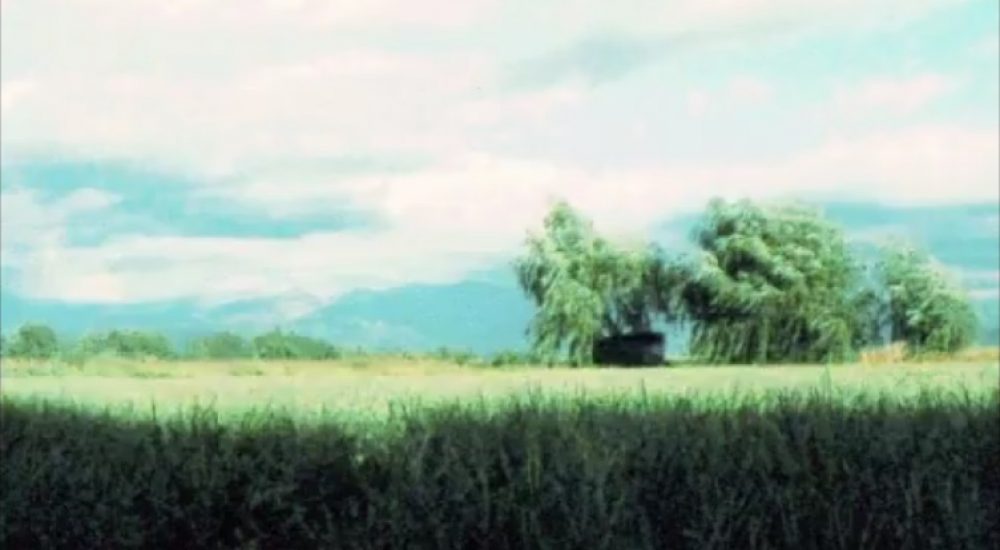 Rubor Cassata Portada