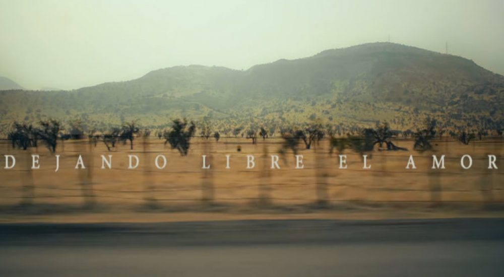 Screenshot_5