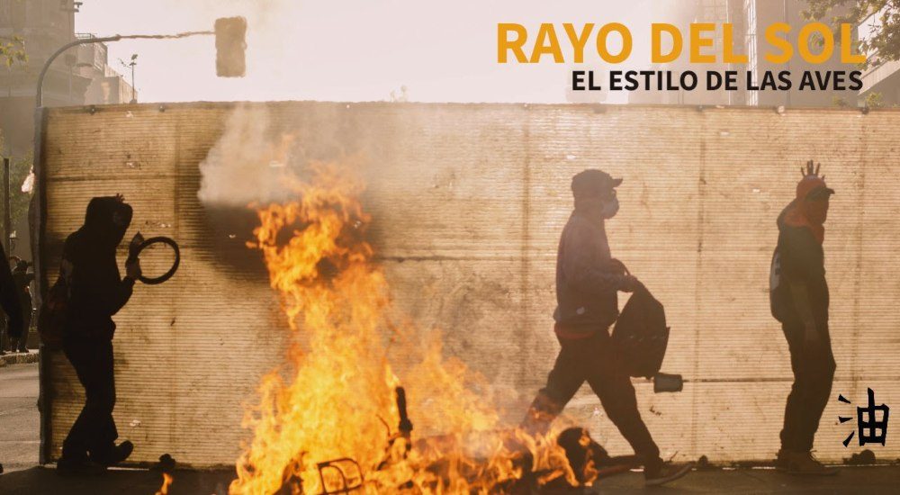 el-estilo-de-las-aves-rayo-del-sol