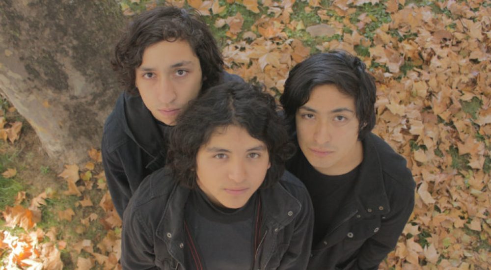 los-necios