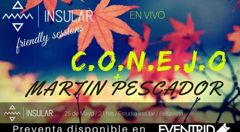 martin-pescador