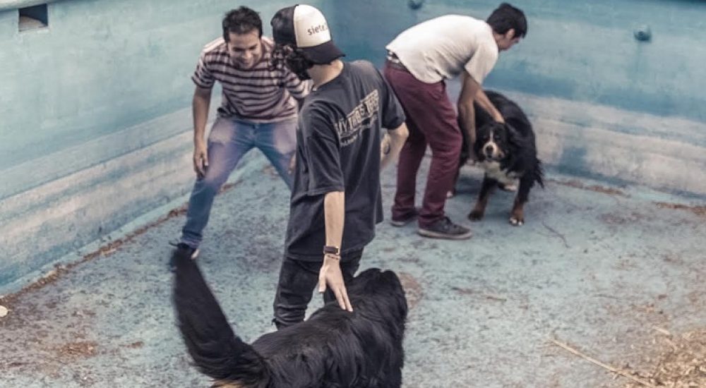 mrpiton-hablarsinvoz