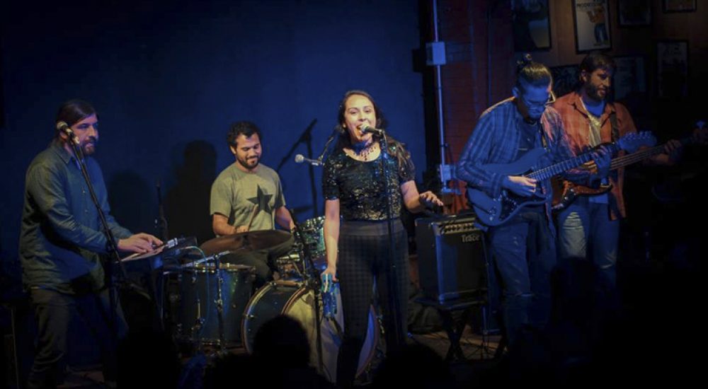 portada-vitrina-cactus-andante