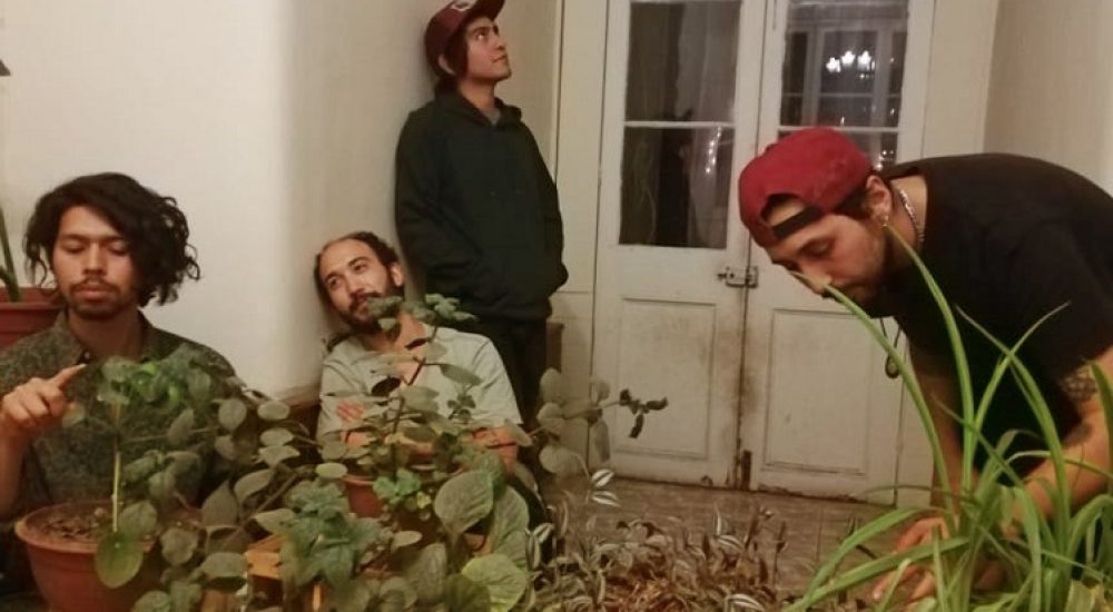 verdearrebol la playa