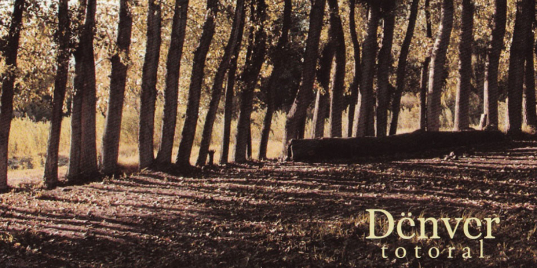 denver-totoral-horizontal